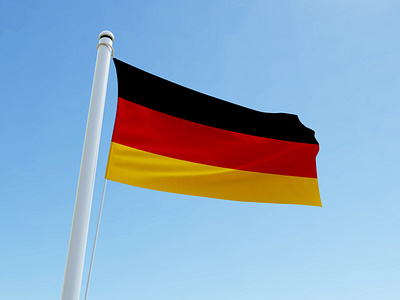 Germany flag design 3d animation app branding business card design graphic design illustration logo motion graphics ui vector