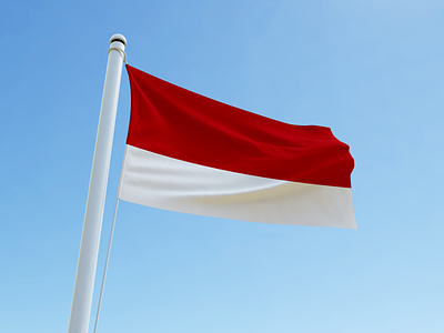 Indonesia flag design
