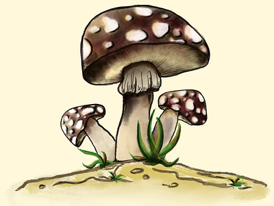 Mushroom design drawing illustration