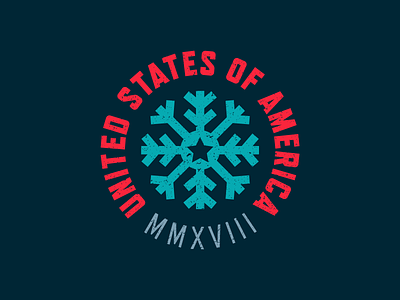 USA Winter Olympics Badge