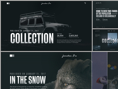 Jonatan Pie - Photographer Portfolio Concept branding collection design photo photographer photography photos portfolio portfolio site type typography ui uidesign uiux ux work