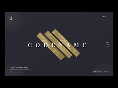 Projects page concept code concept gold personal portfolio typography