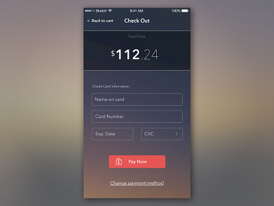 DailyUI #002 Checkout check out checkout credit card info dailyui dailyui 002 minimal pay now