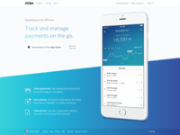 Dashboard for iPhone