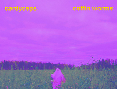 CØRDYCEPS - COFFIN WORMS art artwork cover cover album cover art cover design designs glitch surreal