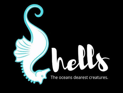 Shells not aligned with seahorse brand branding cocepts logo