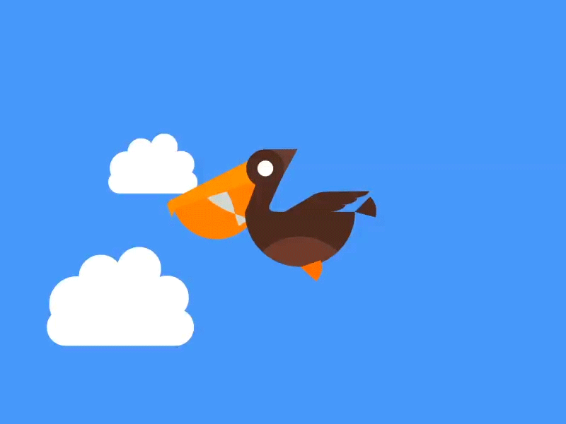 Pelican Animation 2d after effects animation character flat gif illustration loop