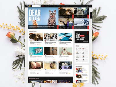 ViralVideo - User Membership News / Magazine Theme