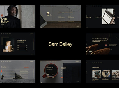 Sam Bailey - Personal CV/Resume WordPress Theme agency blog bootstrap creative cv dark developer landing modern onepage parallas personal portfolio resume vcard