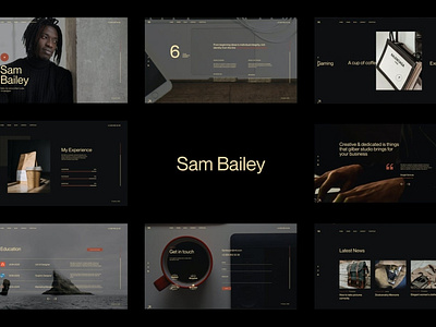 Sam Bailey - Personal CV/Resume WordPress Theme