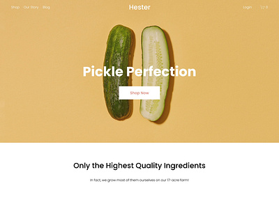 Hester - Website Template - Squarespace design free freebie landing landing page page portfolio squarespace template ui ui design ux ux design web web design web development web template website website design website template