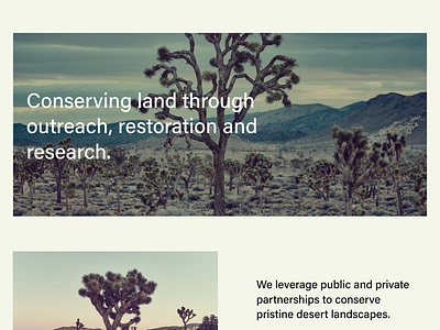 Euclid - Website Template - Squarespace