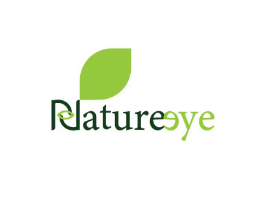 Nature Eye logo Design branding design logo logo design branding logo designer logo mark logodesign logotype