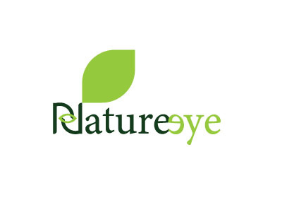 Nature Eye logo Design