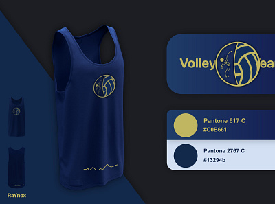 VolleyTeam branding design illustration logo