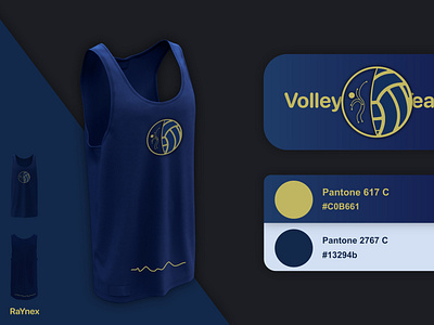 VolleyTeam