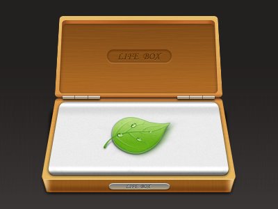 Life box coda icon leaf life paco