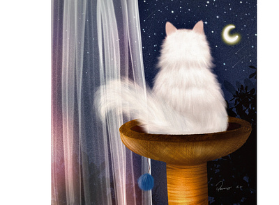 Silent Night cats cute design digital art illustration ipad original art procreate