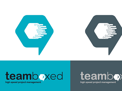 Team-Boxed Logo illustrator logo