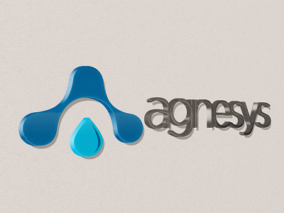 Agnesys branding branding