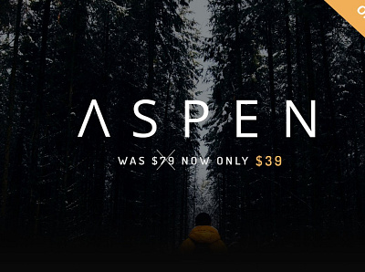 Aspen (Formerly Hazel) ON SALE! minimal minimal theme minimal web design minimal website minimal website design web theme wordpress blog