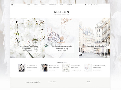 Allison - Wordpress Theme