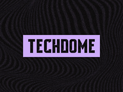 Techdome branding design graphic design illustration logo vector
