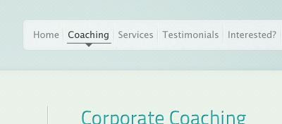 Corporate Coaching blue interface lines menu navigation texture
