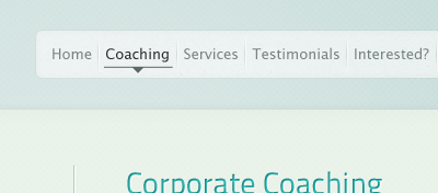 Corporate Coaching