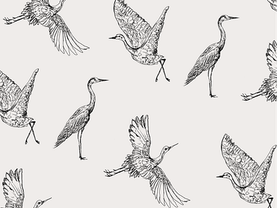 Crane Illustration for Sterling Coffee House