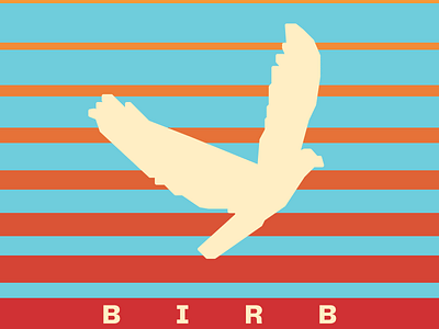 BIRB design graphic design illustration typography vector