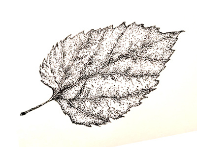 feuille fait main feuille handmade illustration leaf pointillism pointillisme