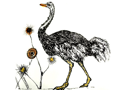 autruche ostrich autruche fait main handmade illustration ostrich pointillism pointillisme