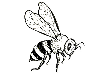 bee abeille abeille bee fait main handmade illustration pointillism pointillisme
