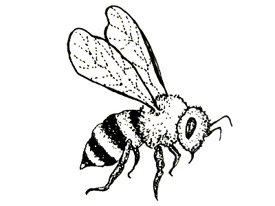 bee abeille