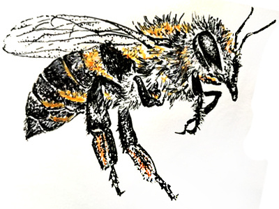 bee abeille abeille bee fait main handmade illustration pointillism pointillisme