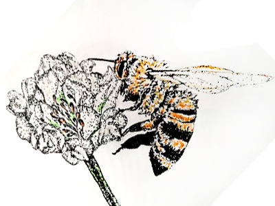 bee abeille abeille bee fait main handmade illustration pointillism pointillisme