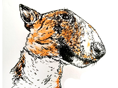 bull terrier dog - chien bull terrier chien dog fait main illustration pointillisme