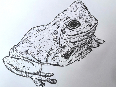 IMG 20210526 212544 draw frog grenouille handmade illustration