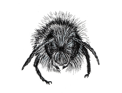 bee abeille abeille bee design handmade illustration illustration art pointillism