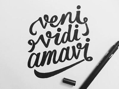 Veni Vidi Amavi hand lettering lettering script type typography