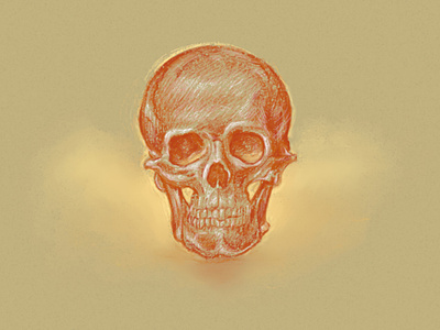 Skull study anatomy art drawing illustration line pastels pencil sketch skull study