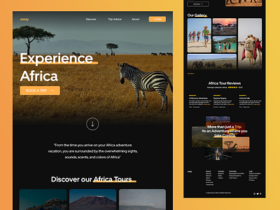 Travel Website design figma pro productdesign ui ux website