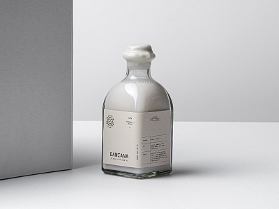 Conserva Collective Damiana Liquid Soap Packaging