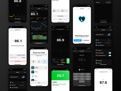 Vekt 3 Release app apple watch bmi charts health ios iphone mobile product design release swiftui ui design watchos weight weight tracking