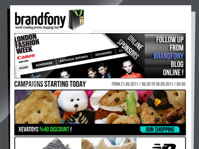 Brandfony E-Newsletter Template -PSD-
