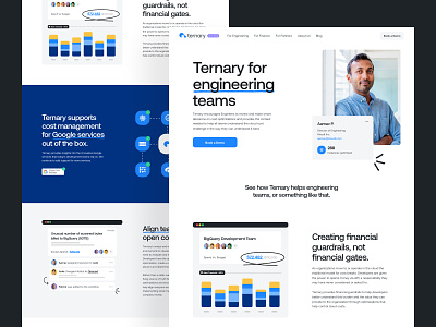 Ternary for Engineering Teams b2b brand strategy branding cms colors dashboard design development interface logo product design research saas typography ui user experience ux visual identitiy web design website
