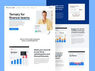 Ternary for Finance Teams app b2b brand strategy branding cloud cms colors development finops interface logo product design saas typography ui user experience ux visual identitiy web design website