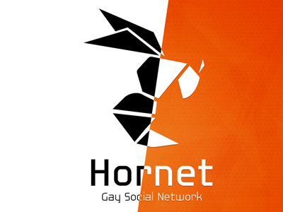 Hornet Logo branding hornet logo