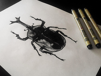 Bug bug draw illustration insect tattoo